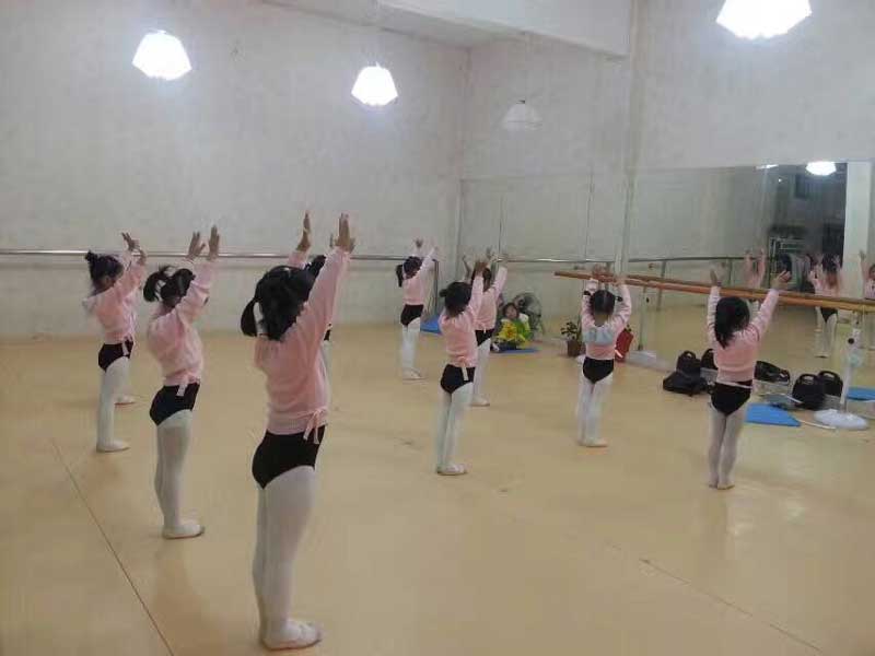 湖北潛江雅韻舞社舞蹈室地板 湖北潛江雅韻舞社舞蹈室地板