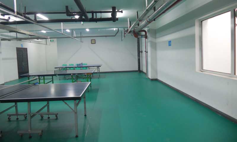 北京市豐臺區(qū)乒乓球地膠 北京市豐臺區(qū)乒乓球地膠