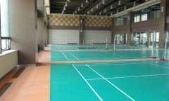 山東省濟南全運村羽毛球地膠